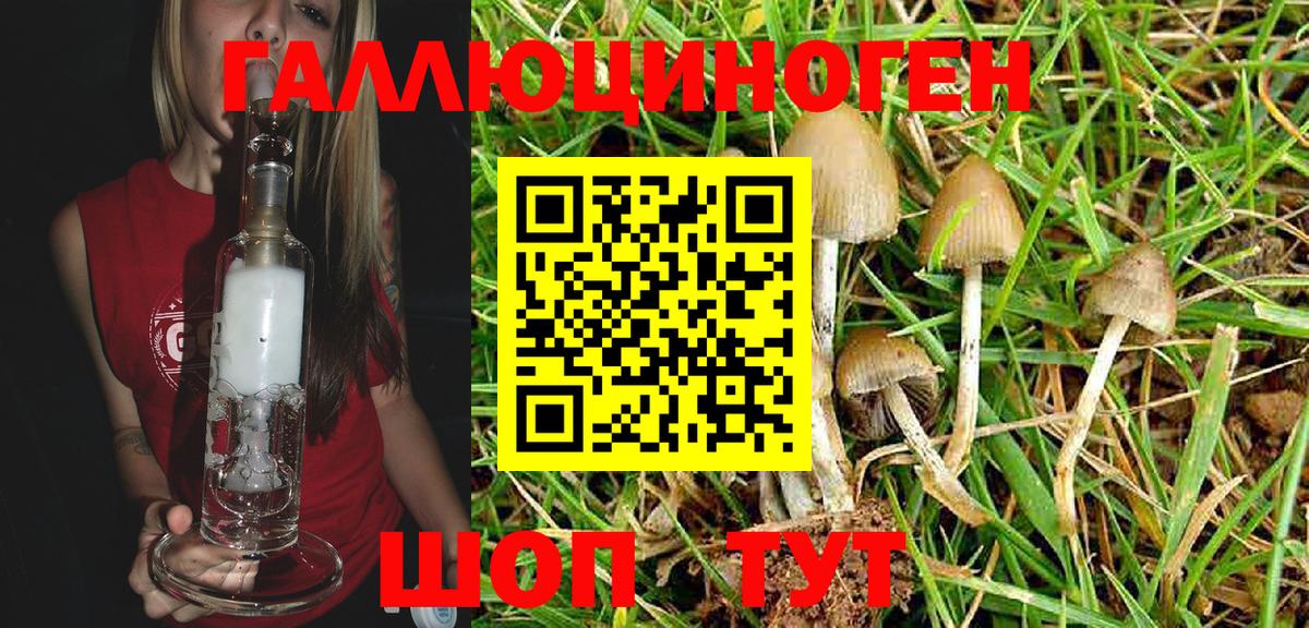 Псилоцибиновые грибы GOLDEN TEACHER  Псилоцибиновые грибы Psilocybine cubensis  Вход с VPN  Павлово 