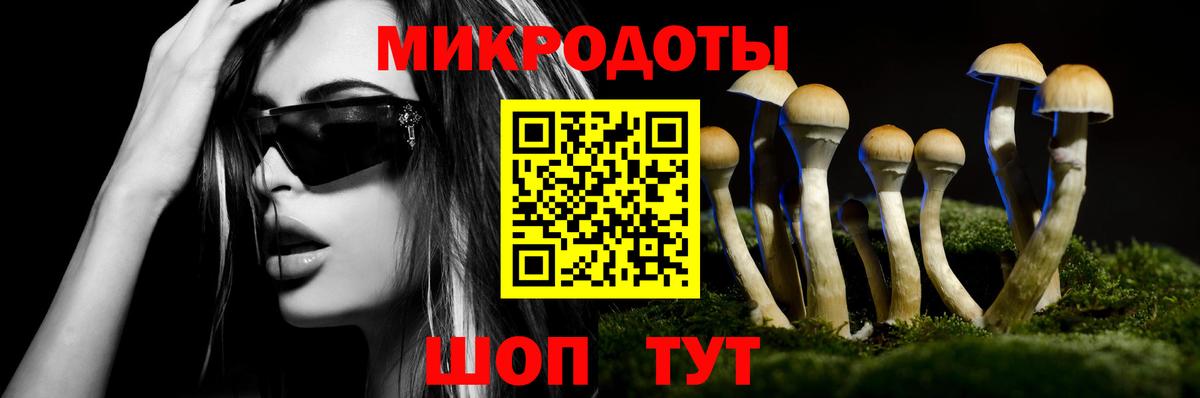 Галлюциногенные грибы Cubensis Павлово